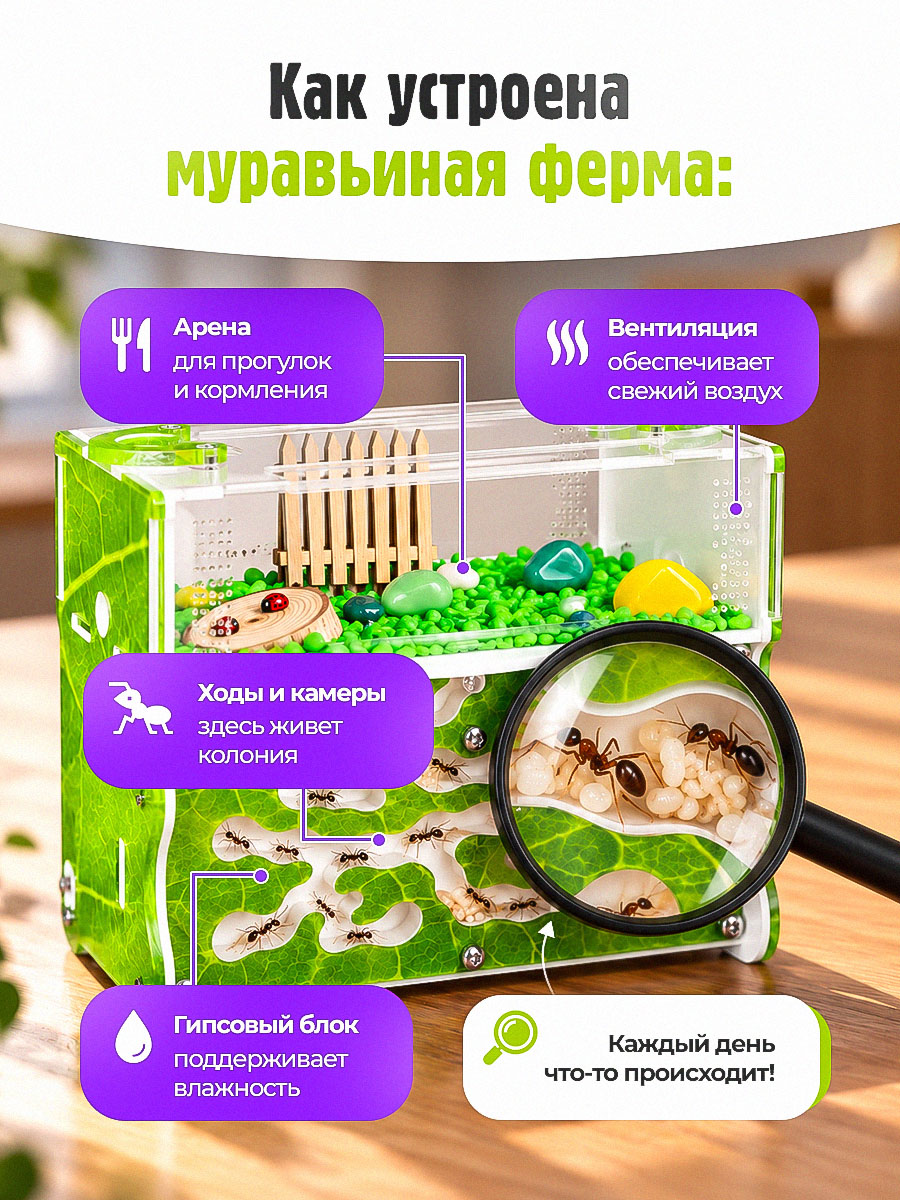 Муравьиная ферма Вертикаль "Зеленый лист" (ПОЛНЫЙ КОМПЛЕКТ) Муравьиная ферма Вертикаль "Зеленый лист" (ПОЛНЫЙ КОМПЛЕКТ)