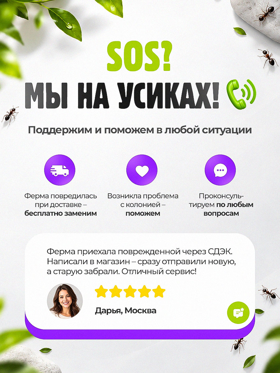 Муравьиная ферма Вертикаль "Зеленый лист" (ПОЛНЫЙ КОМПЛЕКТ) Муравьиная ферма Вертикаль "Зеленый лист" (ПОЛНЫЙ КОМПЛЕКТ)