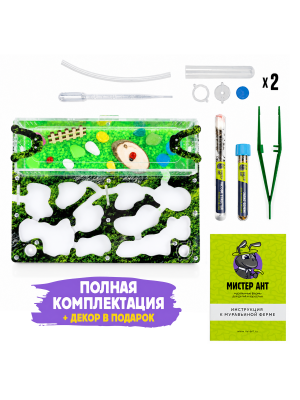 Муравьиная ферма Медиум “Горный мох” (ПОЛНЫЙ КОМПЛЕКТ)